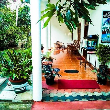 Sudu Neluma Home Stay Polonnaruwa Luaran gambar