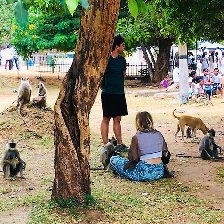 Sudu Neluma Home Stay Polonnaruwa Luaran gambar