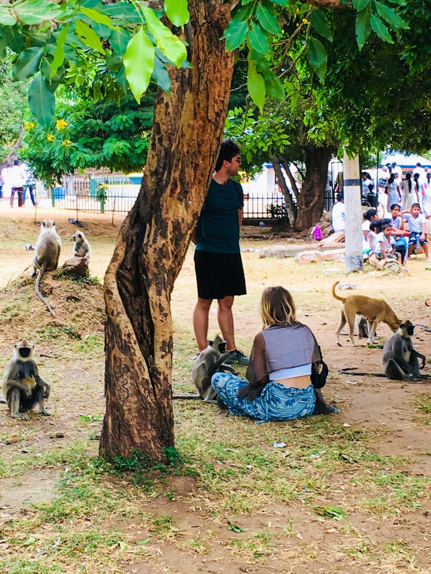 Sudu Neluma Home Stay Polonnaruwa Luaran gambar