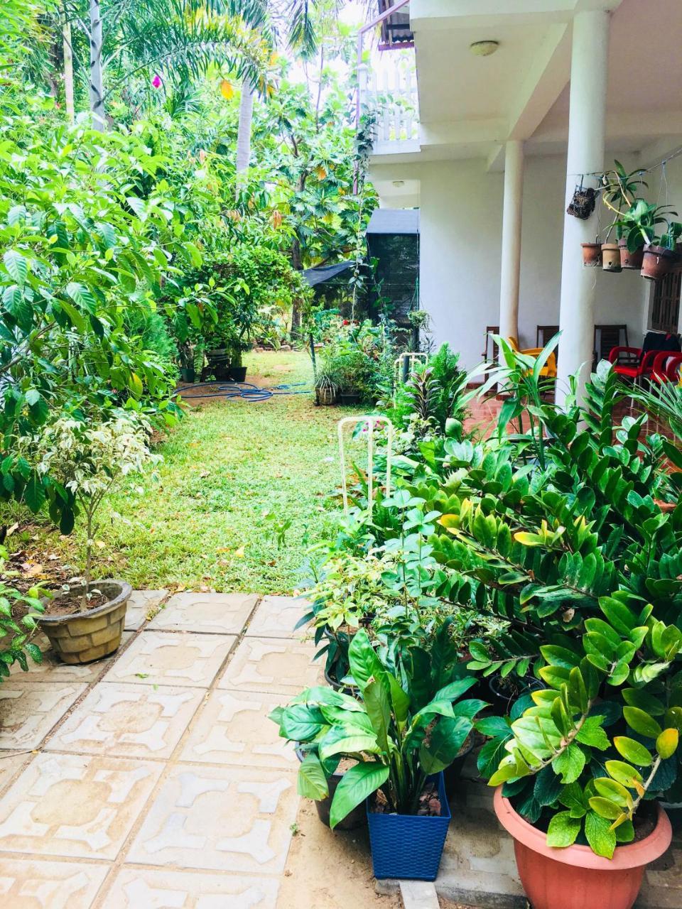 Sudu Neluma Home Stay Polonnaruwa Luaran gambar